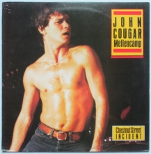 Cover art for Chestnut Street Incident