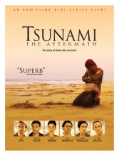 Cover art for Tsunami - The Aftermath