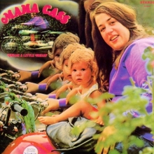 Cover art for Dream a Little Dream, Mama Cass