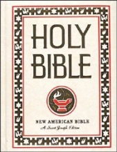 Cover art for Holy Bible New American Bible a Saint Joseph Edition (612/97)