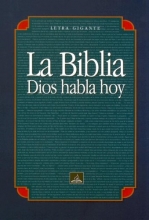 Cover art for Spanish Giant Print Bible-VP (Spanish Edition)