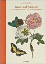 Cover art for Insects of Surinam