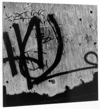 Cover art for Road Trip: Photographs 1980-1988 (Untitled 49)
