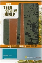 Cover art for Teen Study Bible