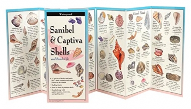 Cover art for Sanibel & Captiva Shells and Beach Life (Foldingguides)
