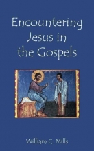 Cover art for Encountering Jesus in the Gospels