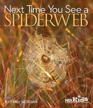 Cover art for Next Time You See a Spiderweb