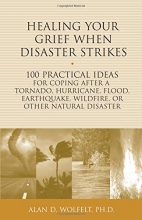 Cover art for Healing Your Grief When Disaster Strikes: 100 Practical Ideas for Coping After a Tornado, Hurricane, Flood, Earthquake, Wildfire, or Other Natural Disaster (The 100 Ideas Series)