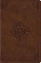 Cover art for ESV Study Bible, Personal Size (TruTone, Saddle, Ornament Design)