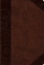 Cover art for ESV Devotional Psalter (TruTone, Brown/Walnut, Portfolio Design)