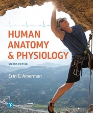 Cover art for Human Anatomy & Physiology (2nd Edition)