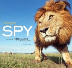 Cover art for Serengeti Spy: Views from a Hidden Camera on the Plains of East Africa