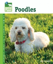 Cover art for Poodles (Animal Planet Pet Care Library)