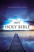Cover art for NIV, Value Outreach Bible, Paperback