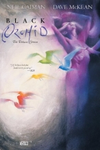 Cover art for Black Orchid Deluxe Edition