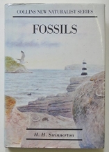 Cover art for Fossils