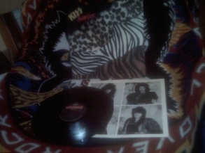 Cover art for Animalize