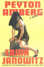 Cover art for Peyton Amberg: A Novel