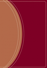 Cover art for Zondervan NIV Compact Study Bible, Burgundy/Tan