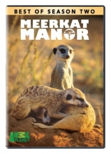 Cover art for Best of Meerkat Manor - Season 2