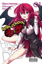 Cover art for High School DxD, Vol. 1 - manga