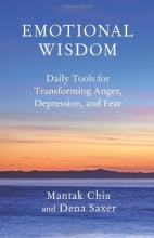Cover art for Emotional Wisdom: Daily Tools for Transforming Anger, Depression, and Fear