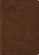 Cover art for Archaeology Study Bible: English Standard Version, TruTone, Brown