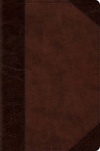 Cover art for ESV Personal Reference Bible (Trutone, Brown/Walnut, Portfolio Design)