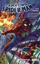 Cover art for Amazing Spider-Man: Worldwide Vol. 1 (The Amazing Spider-Man: Worldwide)