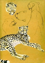 Cover art for The spotted sphinx