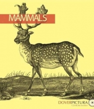 Cover art for Mammals (Dover Pictura Electronic Clip Art)