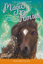 Cover art for Pony Camp #8 (Magic Ponies)