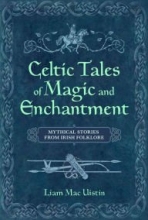 Cover art for Celtic Tales of Magic & Enchantment: Mythical Tales From Irish Folklore