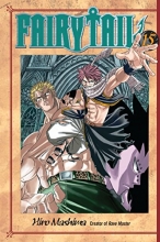 Cover art for Fairy Tail, Vol. 15