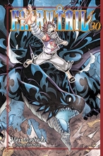 Cover art for FAIRY TAIL 30