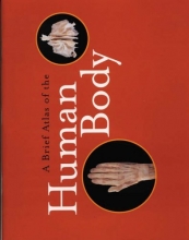 Cover art for A Brief Atlas of the Human Body