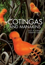 Cover art for Cotingas and Manakins