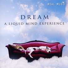 Cover art for DREAM: A Liquid Mind Experience