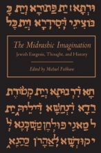 Cover art for The Midrashic Imagination: Jewish Exegesis, Thought, and History