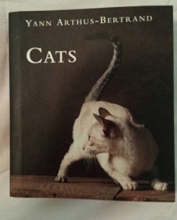 Cover art for Cats