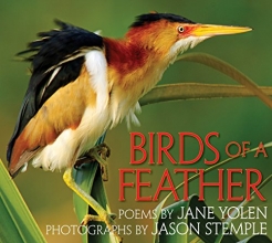 Cover art for Birds of a Feather
