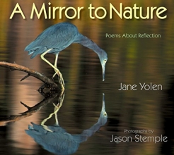 Cover art for A Mirror to Nature: Poems About Reflection