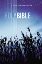 Cover art for NIV, Value Outreach Bible, Paperback