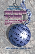 Cover art for Artscroll: Haggadah From Bondage to Freedom by Rabbi Abraham J. Twerski (English, Hebrew and Hebrew Edition)