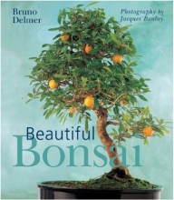 Cover art for Beautiful Bonsai