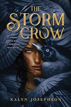 Cover art for The Storm Crow