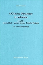 Cover art for Concise Dictionary of Akkadian (Santag Arbeiten Und Untersuchungen Zur Keilschriftkunde)