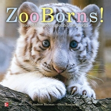 Cover art for Reading Wonders Literature Big Book: Zoo Borns! Grade K (ELEMENTARY CORE READING)