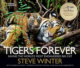 Cover art for Tigers Forever: Saving the World's Most Endangered Big Cat