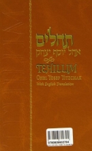 Cover art for Tehillim : With English Translation